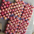 Exported Standard Quality of Fresh Red Qinguan Apple